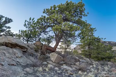 688 Tiara Road, Lake George, CO 80827 - Photo 29