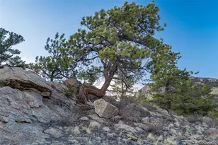 688 Tiara Rd, Lake George, CO 80827 - Photo 29