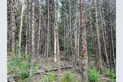 8.5 Acres Phillips Road, Fort Garland, CO 81133 - Photo 33