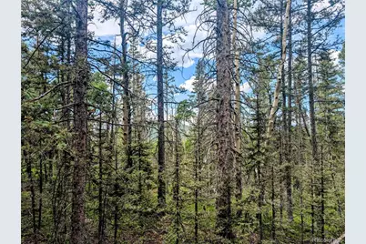 8.5 Acres Phillips Road, Fort Garland, CO 81133 - Photo 25