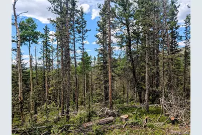 8.5 Acres Phillips Road, Fort Garland, CO 81133 - Photo 29