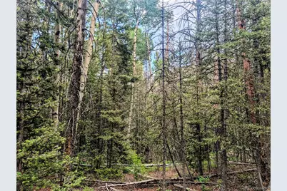 8.5 Acres Phillips Road, Fort Garland, CO 81133 - Photo 21