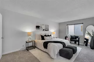 9867 Croke Dr, Denver, CO 80260 - Photo 11