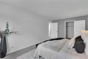 9867 Croke Dr, Denver, CO 80260 - Photo 13