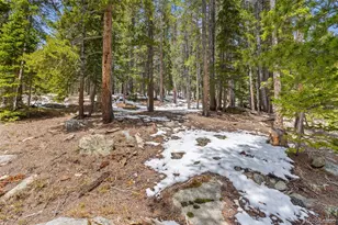 218 Brook Dr, Idaho Springs, CO 80452 - Photo 17