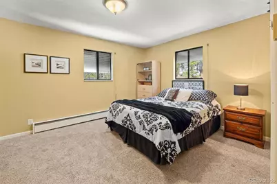218 Brook Drive, Idaho Springs, CO 80452 - Photo 9