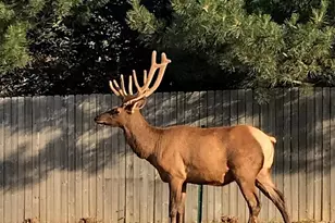 3518 Manzanita Dr, Loveland, CO 80537 - Photo 21