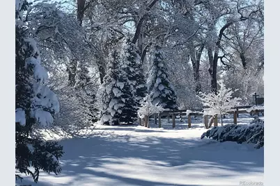 3518 Manzanita Drive, Loveland, CO 80537 - Photo 21