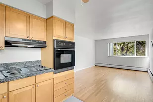 1056 N Marion St, Denver, CO 80218 - Photo 15