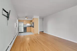 1056 N Marion St, Denver, CO 80218 - Photo 9