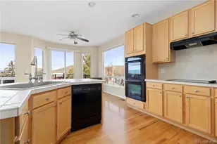 4133 Black Feather Trail, Castle Rock, CO 80104 - Photo 21