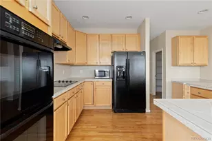 4133 Black Feather Trail, Castle Rock, CO 80104 - Photo 19