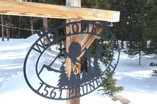 1561 Prunes Pl, Fairplay, CO 80440 - Photo 39