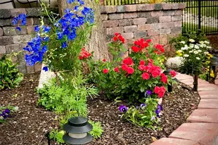 4368 W 111th Ave, Westminster, CO 80031 - Photo 41