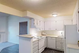 3344 S Ammons St, Lakewood, CO 80227 - Photo 13