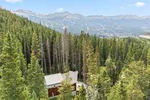 328 535, Breckenridge, CO 80424 - Photo 43