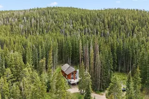 328 535, Breckenridge, CO 80424 - Photo 45