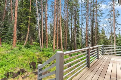 328 535, Breckenridge, CO 80424 - Photo 39