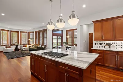 2471 Alton Street, Denver, CO 80238 - Photo 31