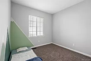 164 Apache Plume St, Brighton, CO 80601 - Photo 15