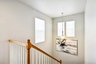 4488 Grapevine Way, Castle Rock, CO 80109 - Photo 17