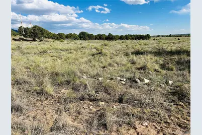 Lots 2-3 Blk 59, Crestone, CO 81131 - Photo 1