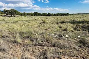 Lots 2-3 Blk 59, Crestone, CO 81131 - Photo 1