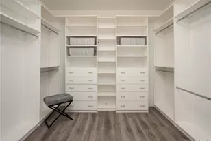 3628 White Rose Loop, Castle Rock, CO 80108 - Photo 11