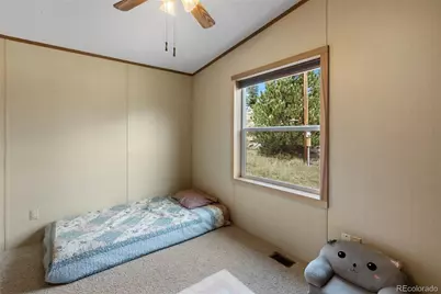 82 Ute Circle, Florissant, CO 80816 - Photo 33