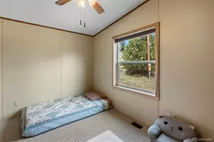 82 Ute Cir, Florissant, CO 80816 - Photo 33
