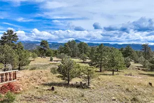82 Ute Cir, Florissant, CO 80816 - Photo 5