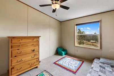 82 Ute Circle, Florissant, CO 80816 - Photo 29