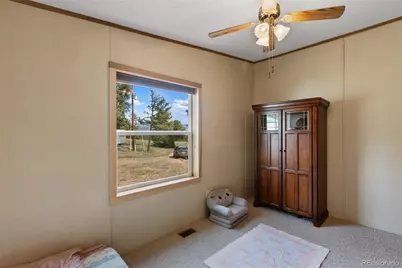 82 Ute Circle, Florissant, CO 80816 - Photo 31