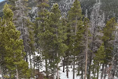 156 Vista Road, Idaho Springs, CO 80452 - Photo 13