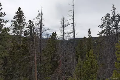 156 Vista Road, Idaho Springs, CO 80452 - Photo 17
