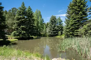 384 Brookside Dr, Bailey, CO 80421 - Photo 39