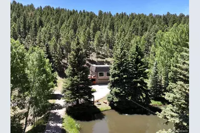 384 Brookside Drive, Bailey, CO 80421 - Photo 45