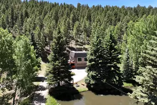 384 Brookside Dr, Bailey, CO 80421 - Photo 45