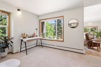 384 Brookside Drive, Bailey, CO 80421 - Photo 19