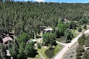 384 Brookside Dr, Bailey, CO 80421 - Photo 47