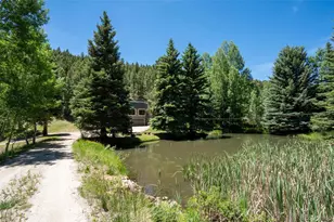 384 Brookside Dr, Bailey, CO 80421 - Photo 3