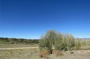12864 Elkhorn Rd, Como, CO 80432 - Photo 5