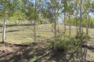 12864 Elkhorn Rd, Como, CO 80432 - Photo 49