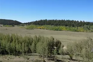 12864 Elkhorn Rd, Como, CO 80432 - Photo 37