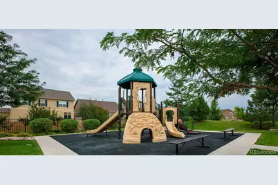 910 Pierson Court, Windsor, CO 80550 - Photo 35