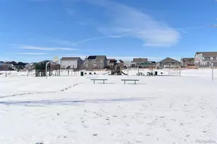 910 Pierson Ct, Windsor, CO 80550 - Photo 33