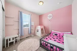 910 Pierson Ct, Windsor, CO 80550 - Photo 17