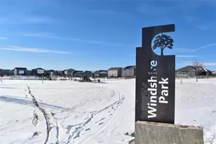 910 Pierson Ct, Windsor, CO 80550 - Photo 33