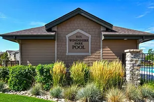 910 Pierson Ct, Windsor, CO 80550 - Photo 39