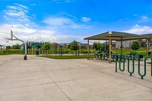 910 Pierson Ct, Windsor, CO 80550 - Photo 35